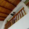 Tom Sellers - @tom.sellers8 - TikTok