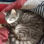 Tom Sewell - @tommy.h.sewell - Instagram