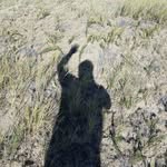 Tom Shafer - @trucka30 - Instagram