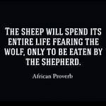 Tom Shearer - @tom.shearer.5 - Instagram