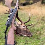 Tom Shearer - @tomshearer2 - Instagram