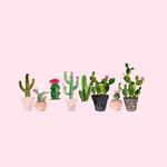tom shelly & caren the cacti - @plantswith_pants - Instagram