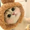 Tom Shelly - @petdaily03 - TikTok