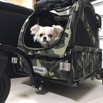 tom&shelly - @tom.827 - Instagram