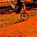 Tommy Shields - Facebook