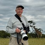Tom Shuey - @tomswildlifephotos - Instagram