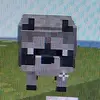 tomas - @tomasills - TikTok