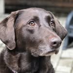 Tom Skalitzky - @tomskalitzky - Instagram