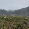 Tommy - @tom.skalk - TikTok