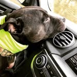 Tom Slack - @tom_the_wood_man - Instagram