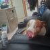 Thomas Slaughter - Facebook