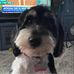 Tom Sniffen - Facebook