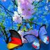 Thomas Sommer - Facebook