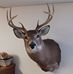 Tom Sommers - Facebook