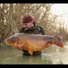 Tom Southall - @tom.southall5 - TikTok