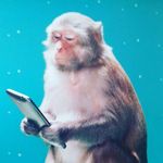 @tom_southall_ - Instagram