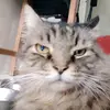 TomSparrow95 - @tomsparrow95 - TikTok