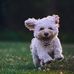 Tom Spaulding - Facebook