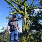 Tom Specht - Facebook