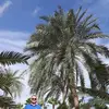 Tomasz Spera - @tomasz.spera - TikTok