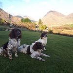 Tom Stamp - @tom.stamp.7503 - Instagram