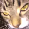 tom.s - @tom.stamp1 - TikTok