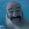 Tom - @tom_stein - TikTok