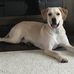 Tom Steinhauer - Facebook