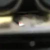 Sterling Tom - @sterling.tom - TikTok