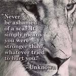 Tom Sterling - @tom.sterling.3150 - Instagram