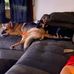 Tom Stiles - Facebook
