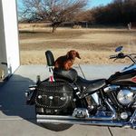 Tom 'Husker' Straight - @tom.h.straight - Instagram