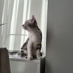 Tommy - @tom_scottish_straight - Instagram