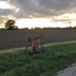 Tom Sturgeon - @forest_tribe17 - Instagram