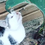 tom  Theodor e tonny - @tom_e_theodor_e_tonny - Instagram