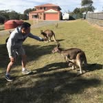 Tom Theodore Von - @tomtheodorevon - Instagram