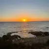 tomas_tickner - @tomas_tickner - TikTok