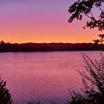 Tom Tiernan - @tiernan219 - Instagram