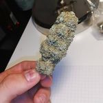tomtiggesprivate2 - @tomtiggesprivate2 - Instagram
