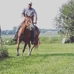 tom timm - @timmtom72 - Instagram