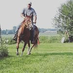 tom timm - @thehayman6 - Instagram