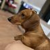 Tom Tomi - Facebook