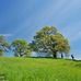 Tom Tompson - Facebook