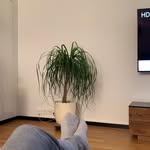 Tom Tompson - @tompsonfordubai - Instagram