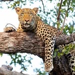 tomtompson - @tomtompson7 - Instagram