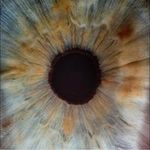 Tom Tong - @tomtongchannel - Instagram