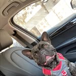 Tom Travis Jr. - @tommtravis - Instagram