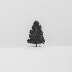 Tom Trinh - Facebook