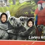 Tom Trinh - @tom146trinh - Instagram