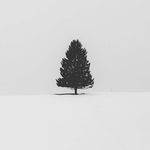 Tom Trinh - @tom.trinh_ - Instagram